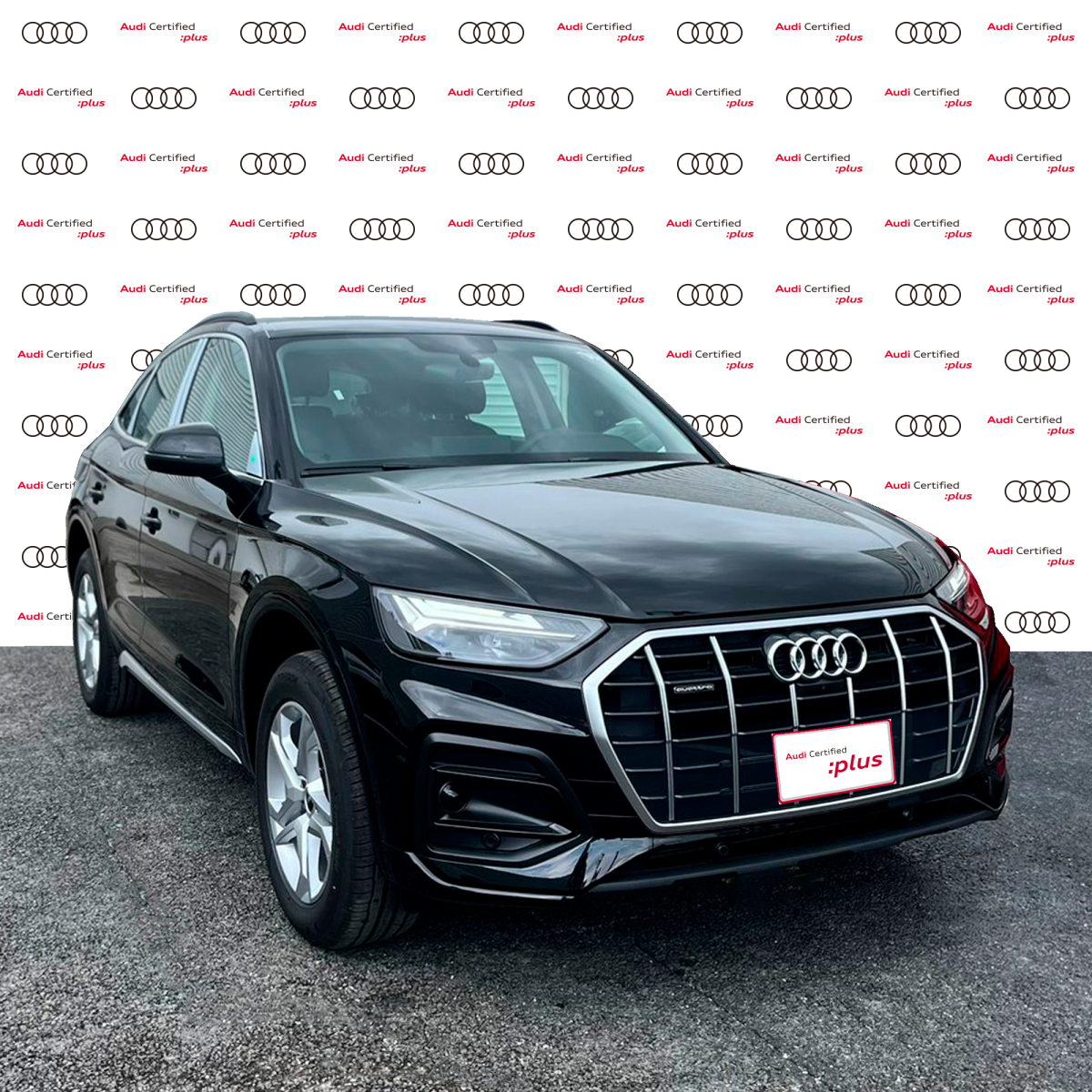 Audi Q5 2024