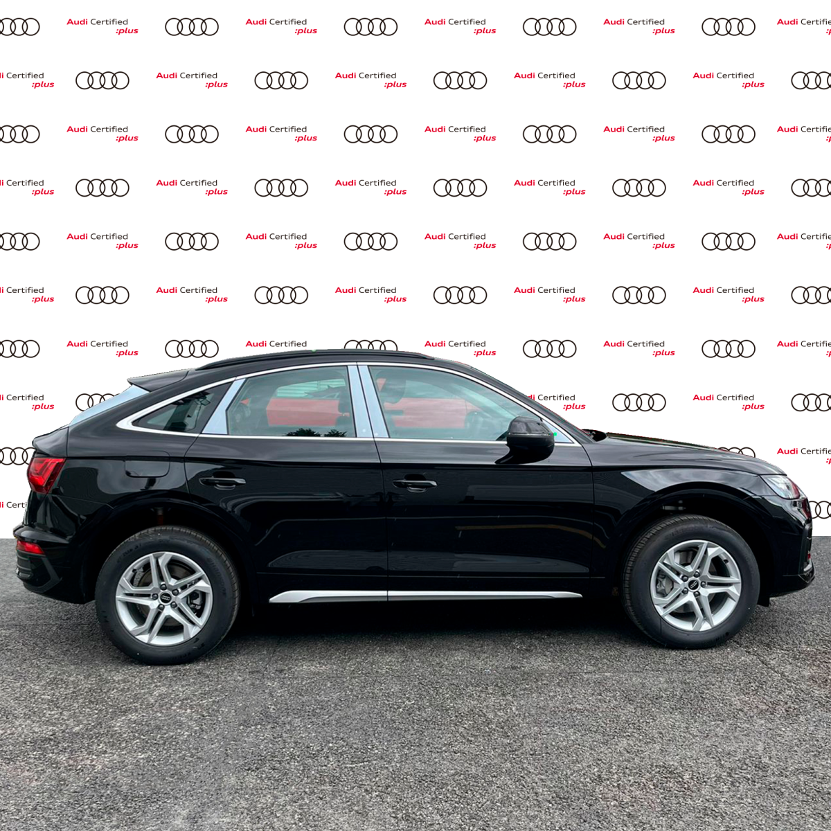 Audi Q5 2024