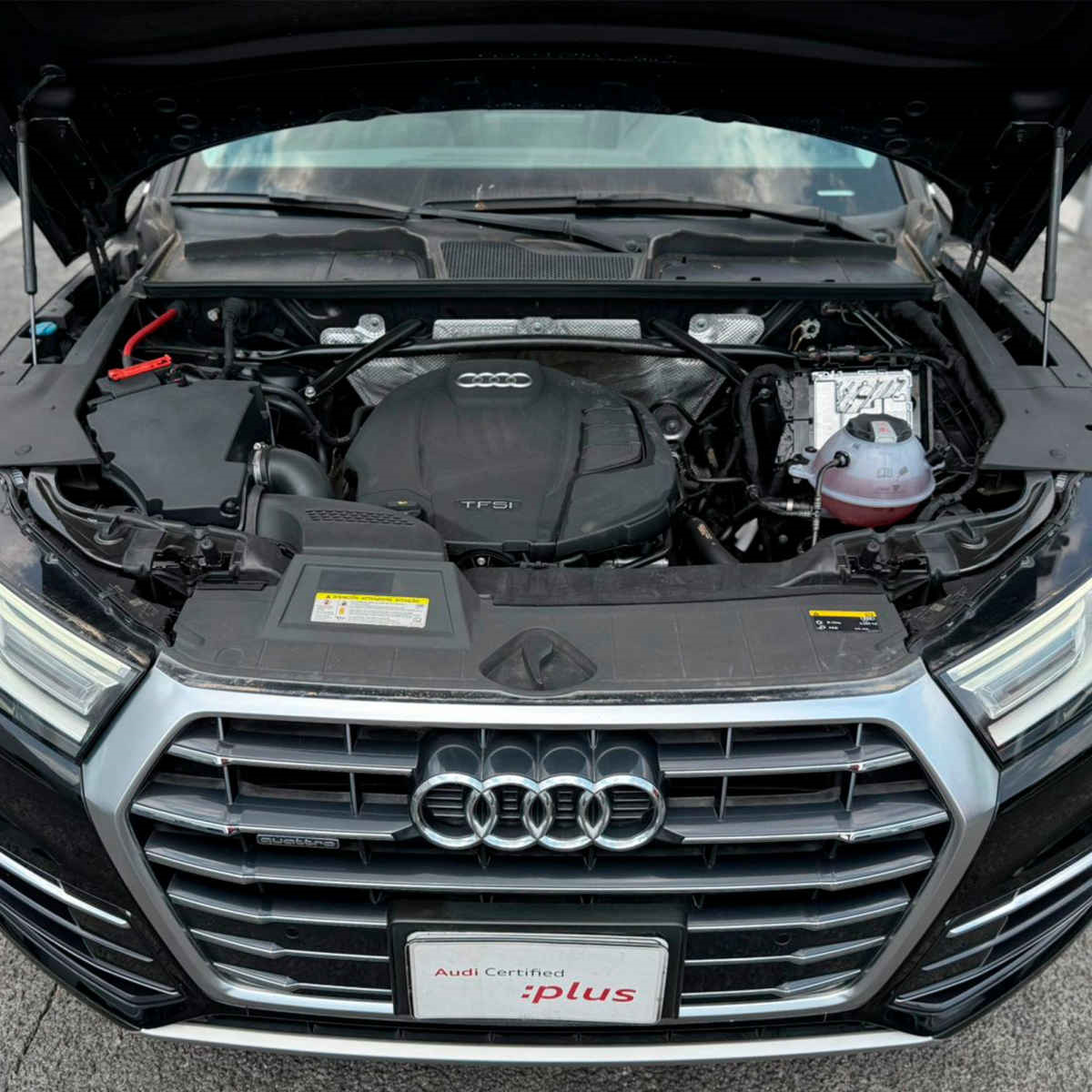 Audi Q5 2019