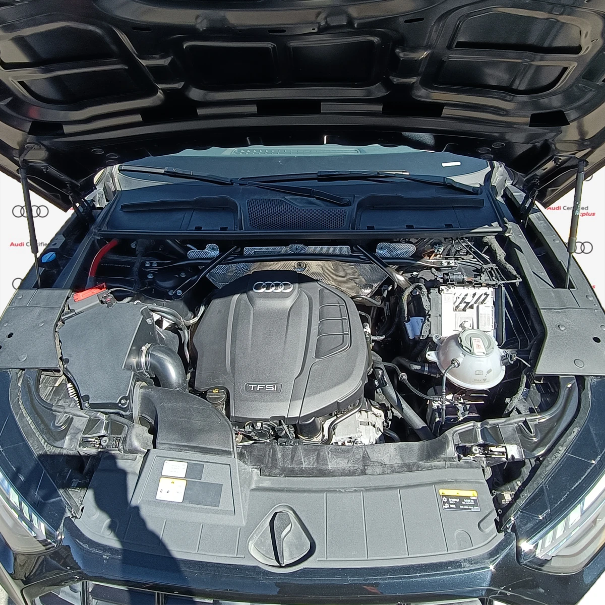 Audi Q5 2024
