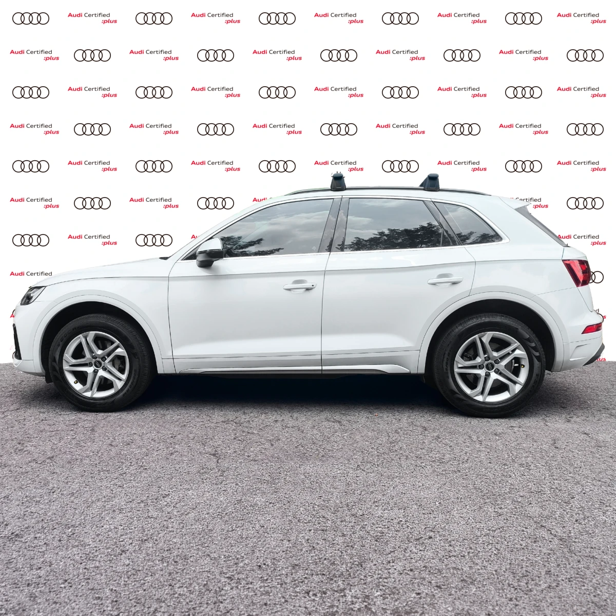 Audi Q5 2023
